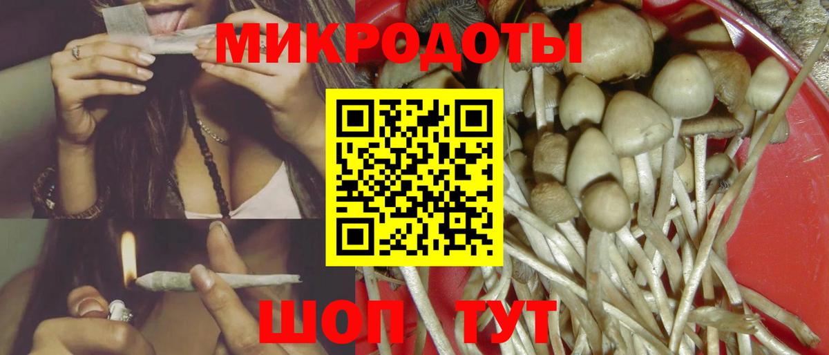 Галлюциногенные грибы Psilocybe Дзержинский